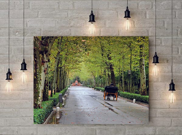 Lienzo Parque María Luisa<div class="yasr-vv-stars-title-container"><div class='yasr-stars-title yasr-rater-stars'
id='yasr-visitor-votes-readonly-rater-296e1c6430e3d'
data-rating='0'
data-rater-starsize='16'
data-rater-postid='3528'
data-rater-readonly='true'
data-readonly-attribute='true'
></div><span class='yasr-stars-title-average'>0 (0)</span></div>