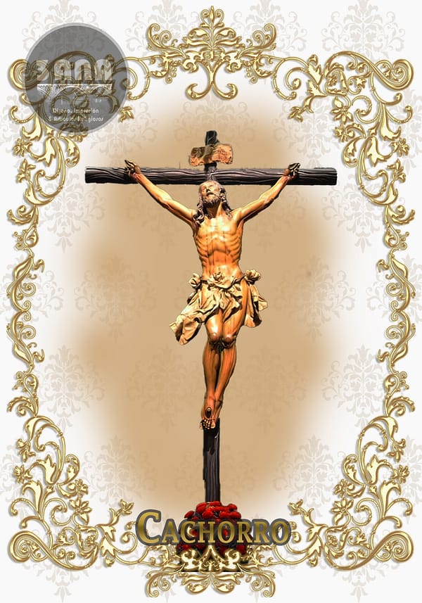 lona pvc cachorro Sevilla